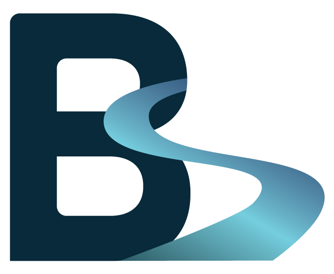 Barzena Ski Logo